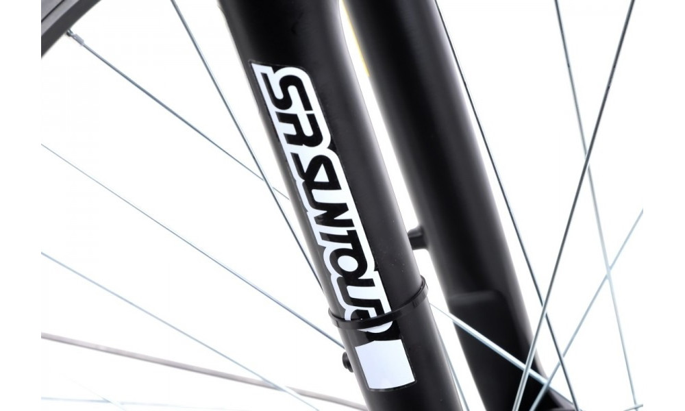 Bicycle Romet Wagant 5 28" 2022 silver-graphite - 25