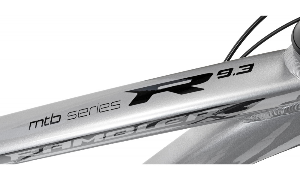 Велосипед Romet Rambler 29" Disc Limited silver-black - 8