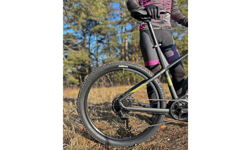 E-bike Raymon HardRay E 2.0 29" black-armor - 11