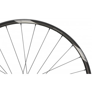 Rear wheel NEWMEN Advanced Carbon SL X.A.25 29" 28H SP C-Lock 12x148 HG