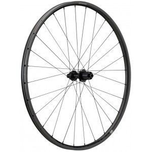 Rear wheel NEWMEN Advanced Carbon SL X.R.25 622 28H SP C-Lock 12x142 HG