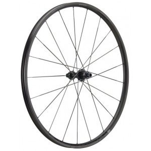 Rear wheel NEWMEN Advanced Carbon SL X.R.25 VONOA 622 21H R C-Lock 12x142 XDR
