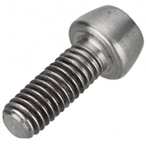 Stem bolt NEWMEN Hex Titanium M6x16 TL10.5 for Evolution SL