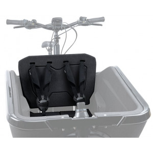 Детское кресло Cube Cargo 2.0 for E-bike