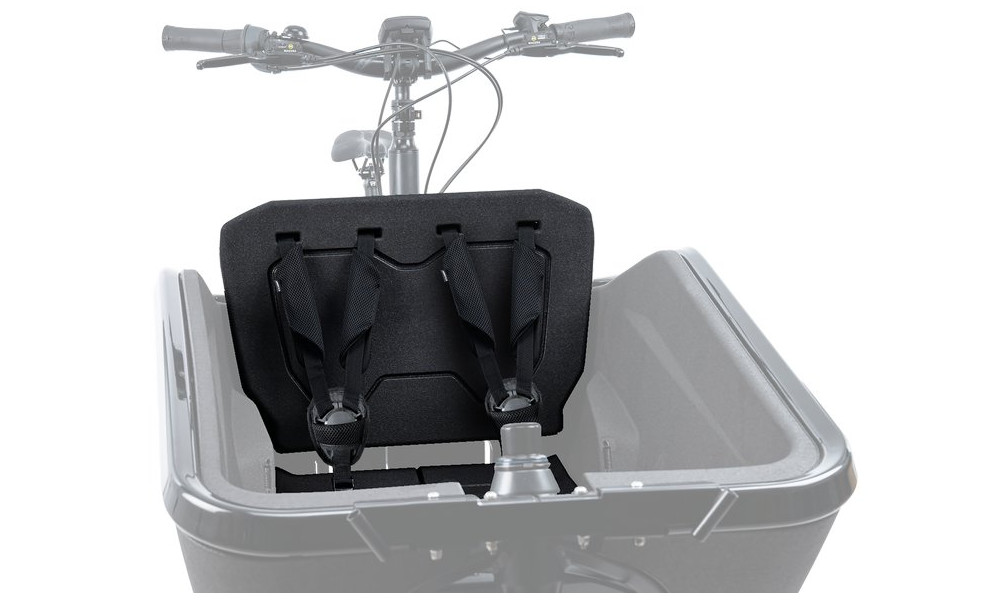 Детское кресло Cube Cargo 2.0 for E-bike 