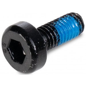 Bolt ACID M6x14-8.8 spherical