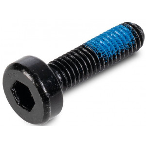 Bolt ACID M6x22-8.8 spherical