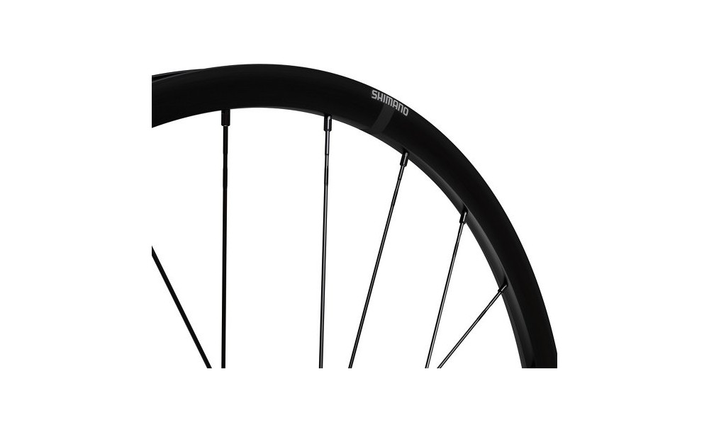 Front wheel 28" Shimano GRX WH-RX180-TL 12mm E-Thru Disc CL - 2