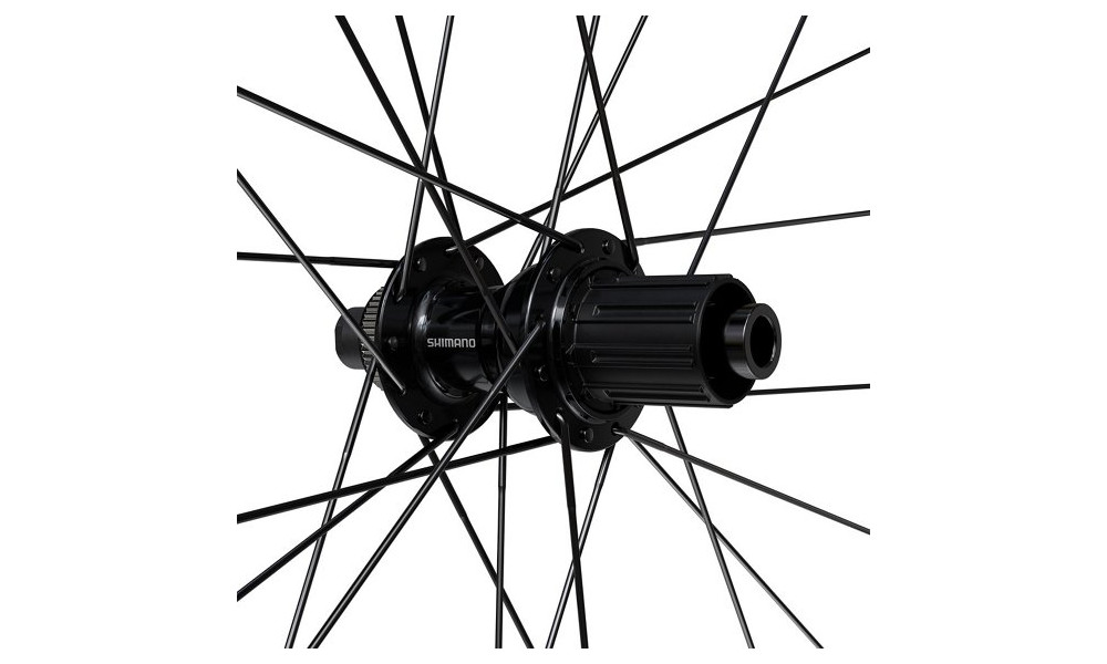 Заднее колесо 28" Shimano GRX WH-RX180-TL 24H 622 CL 12x142 12-speed MicroSpline - 3