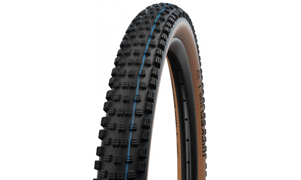 Tire 29" Schwalbe Wicked Will HS 614 Evo Fold TLE 62-622 / 29x2.40 Super Race Addix SpeedGrip Transparent - 1
