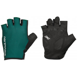 ???????? Northwave Active Max Short petrolium