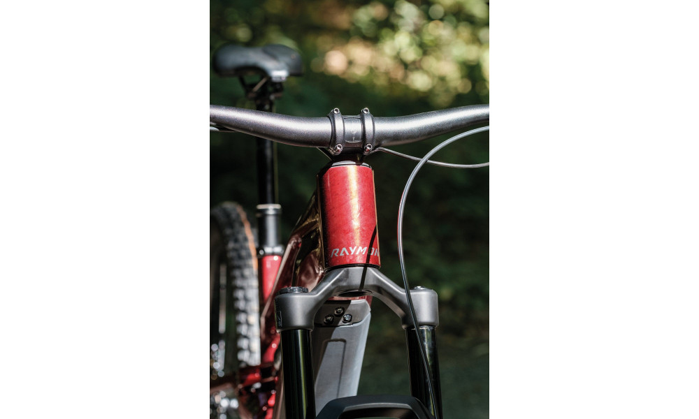 E-bike Raymon Ravor Pro 29"-27.5" 840 2026 rubyred - 7