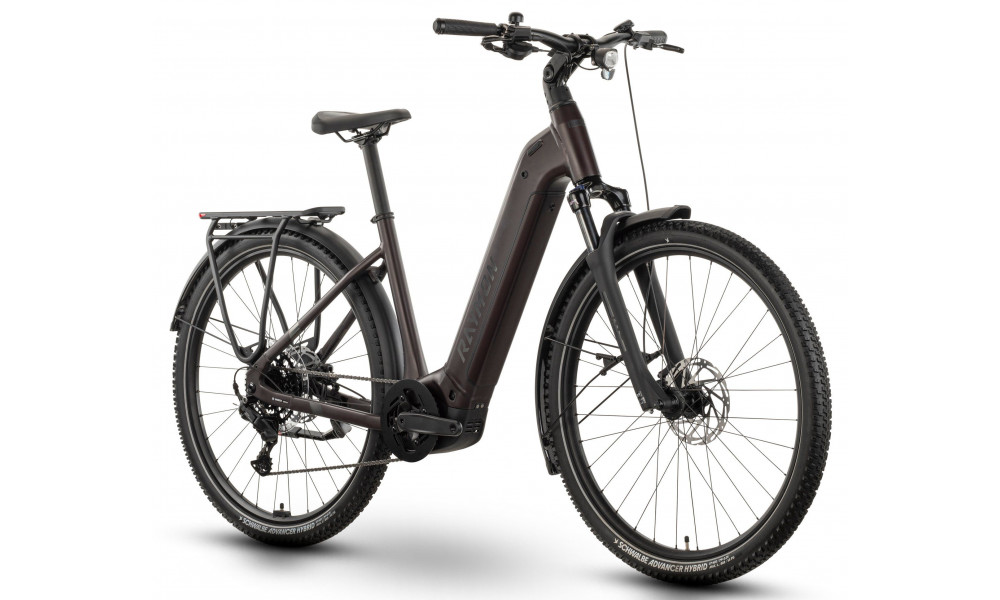 Электрический велосипед Raymon Tahona Comp 29" 800 Easy Entry 2026 plum noir - 2