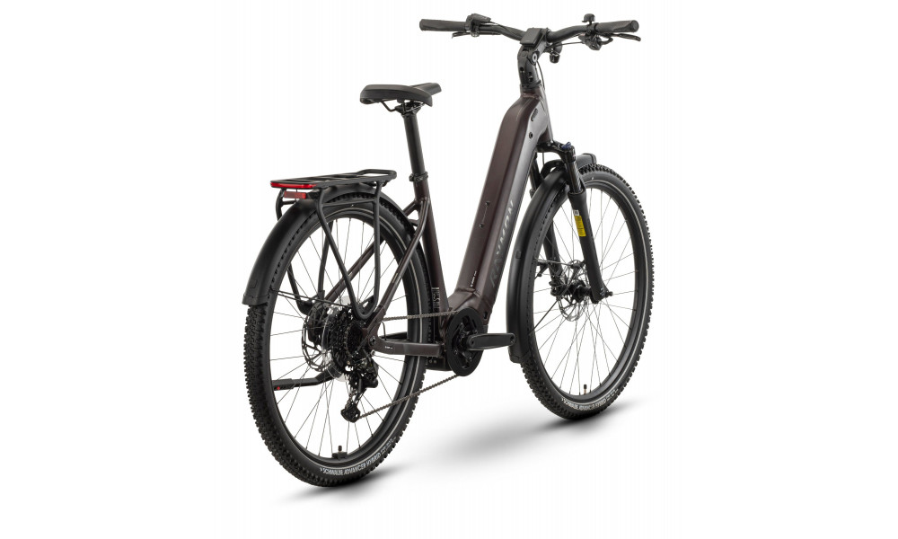 E-bike Raymon Tahona Comp 29" 800 Easy Entry 2026 plum noir - 3