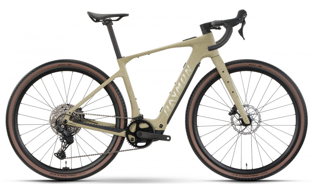 E-bike Raymon Norza Comp 400 2026 greige freckels - 1