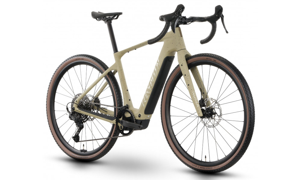 E-bike Raymon Norza Comp 400 2026 greige freckels - 3