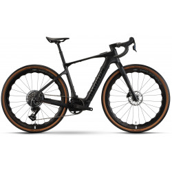 E-bike Raymon Norza Ultra 400 2026 carbon sparkle