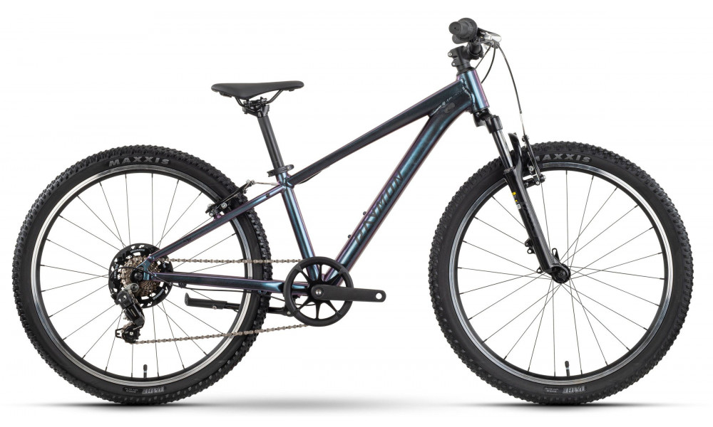 Bicycle Raymon Nayta 24 Comp 2026 iridiumblack - 1