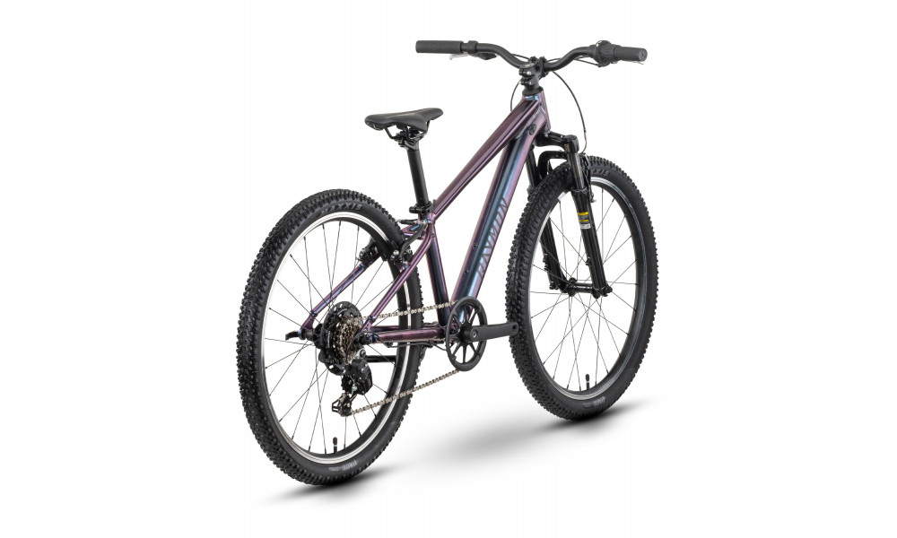 Bicycle Raymon Nayta 24 Comp 2026 iridiumblack - 3