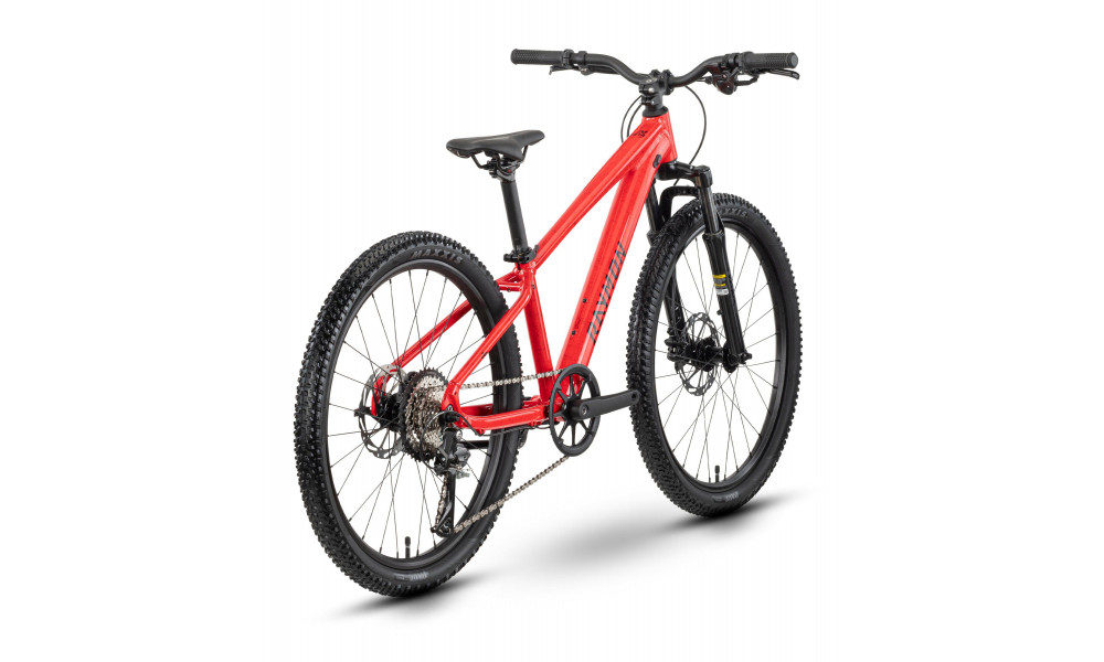 Bicycle Raymon Nayta 24 Pro 2026 red marble - 3