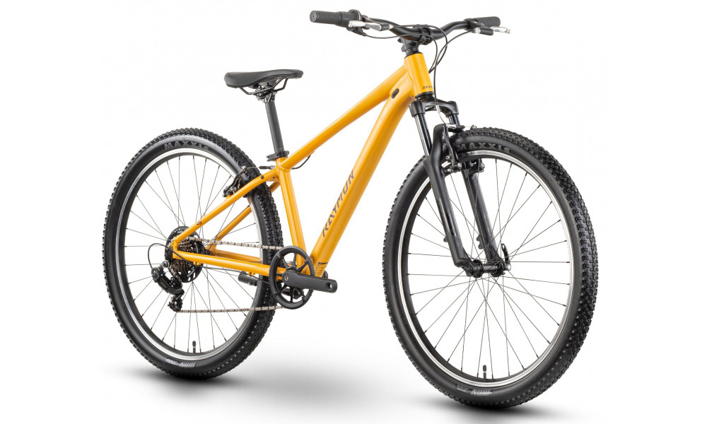 Велосипед Raymon Nayta 26 Comp 2026 kurkuma - 2