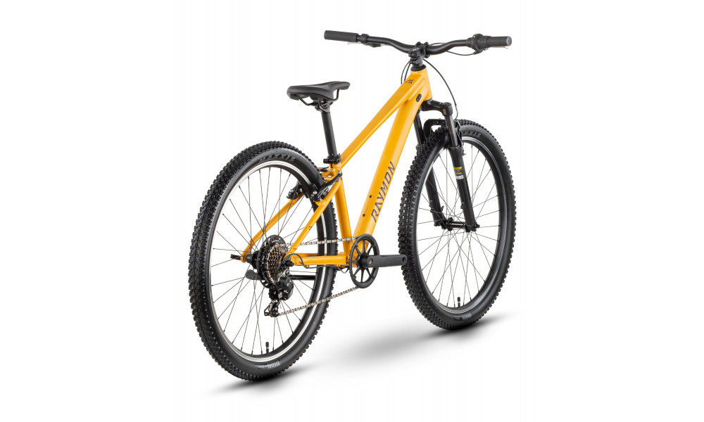 Bicycle Raymon Nayta 26 Comp 2026 kurkuma - 3