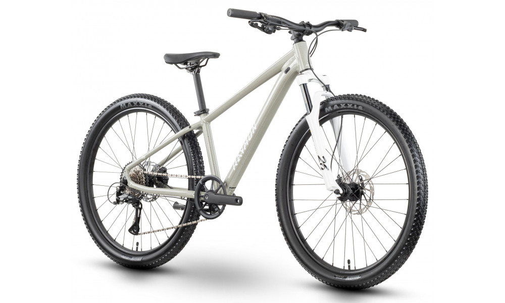 Bicycle Raymon Nayta 26 Pro 2026 grey confetti - 2