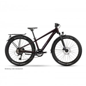 Велосипед Raymon Nayta 26 Pro Street 2026 floridplum