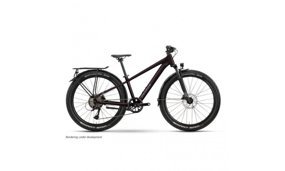 Bicycle Raymon Nayta 26 Pro Street 2026 floridplum 