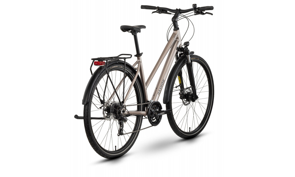 Bicycle Raymon Zayn Comp Trapeze 2026 taupe grey-black - 3