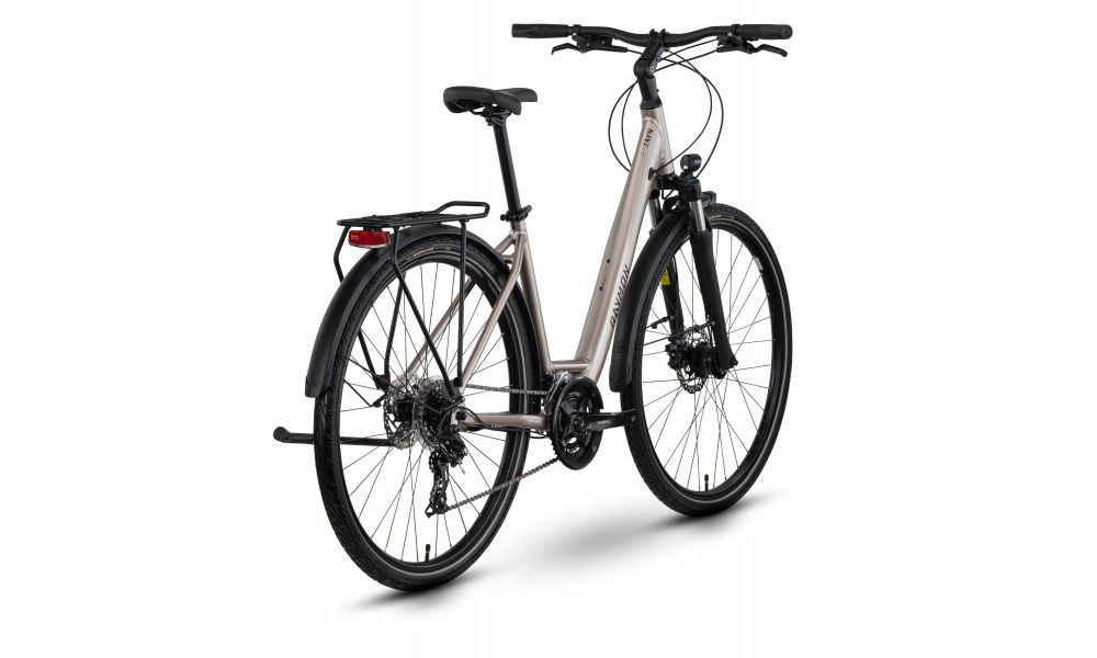 Велосипед Raymon Zayn Comp Easy Entry 2026 taupe grey-black - 3