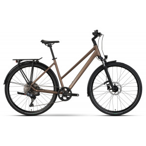 ????????? Raymon Zayn Auto Trapeze 2026 mushroom