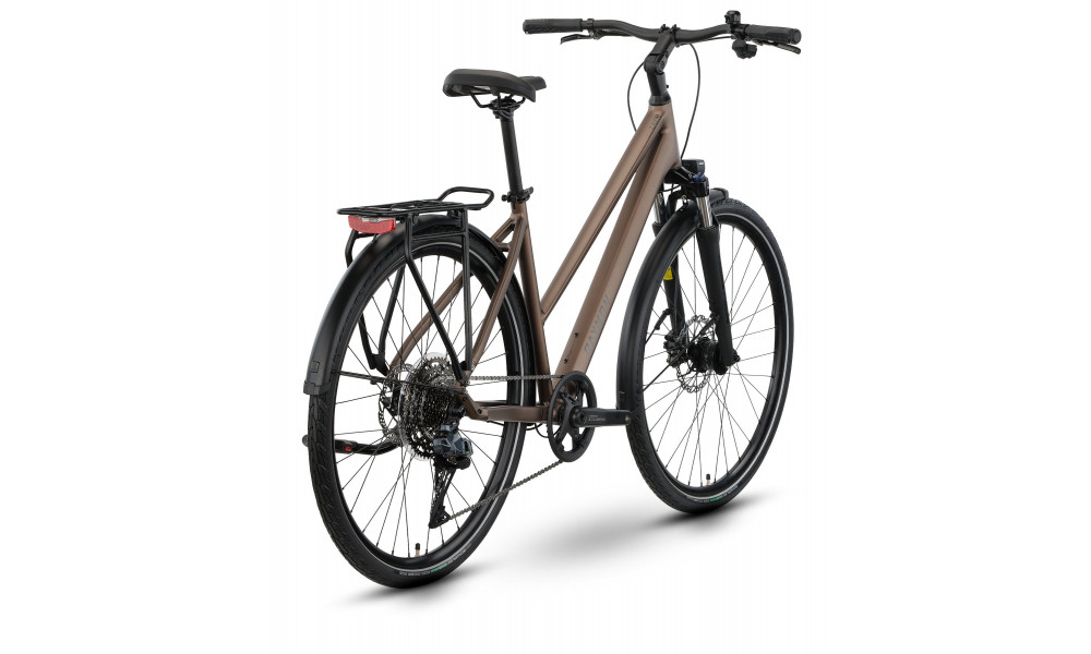 Bicycle Raymon Zayn Auto Trapeze 2026 mushroom - 3