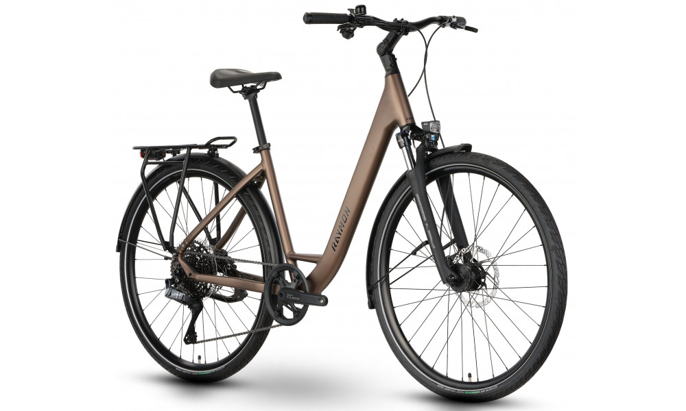 Bicycle Raymon Zayn Auto Easy Entry 2026 mushroom - 2