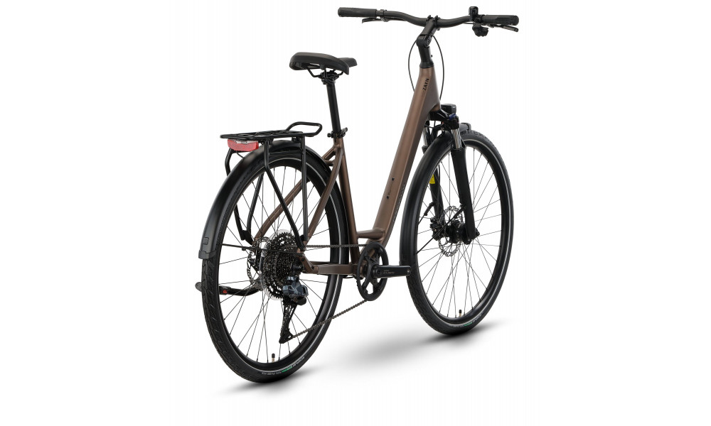 Bicycle Raymon Zayn Auto Easy Entry 2026 mushroom - 3