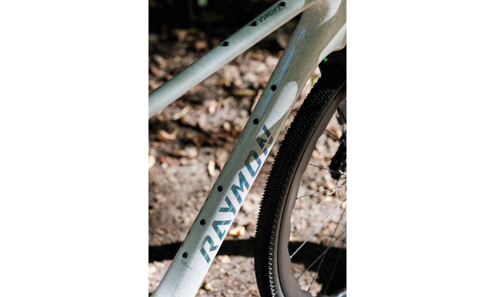 Bicycle Raymon Soreno Ultimate 2026 white marble - 5
