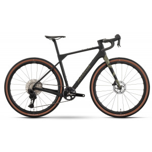 Bicycle Raymon Soreno Ultra 2026 carbon-forest green