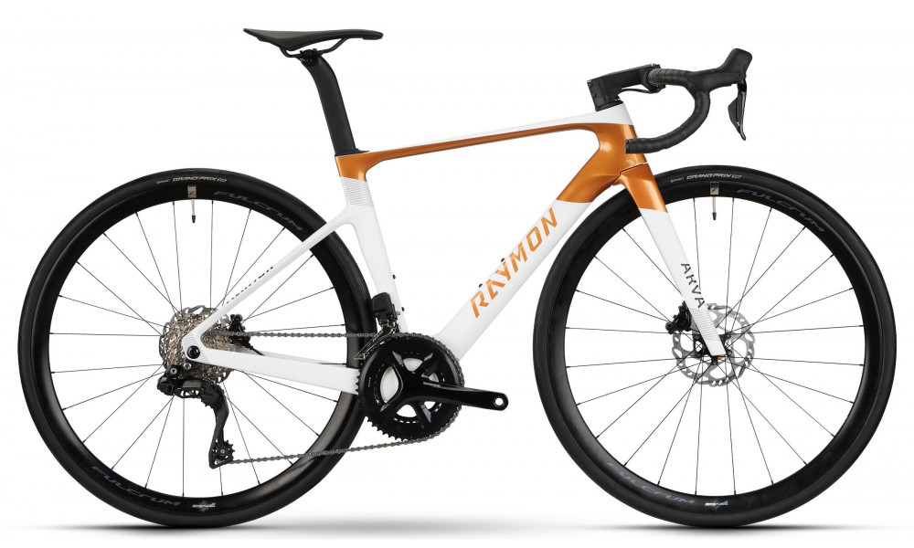 Bicycle Raymon Arva Comp 2026 white-copper - 1