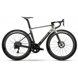 Bicycle Raymon Arva Ultimate 2026 carbon-champagne