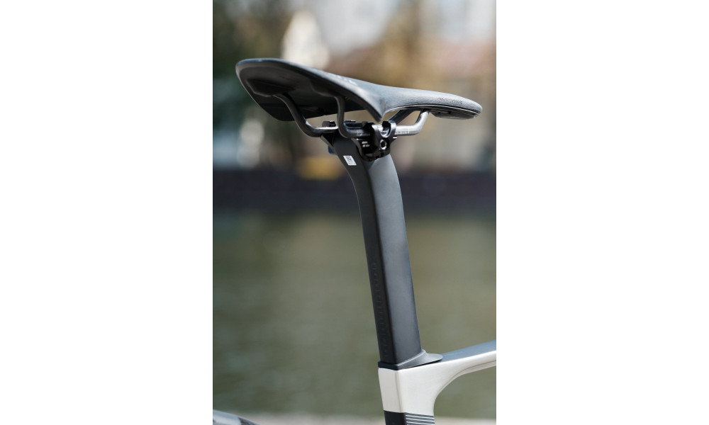 Велосипед Raymon Arva Ultimate 2026 carbon-champagne - 2