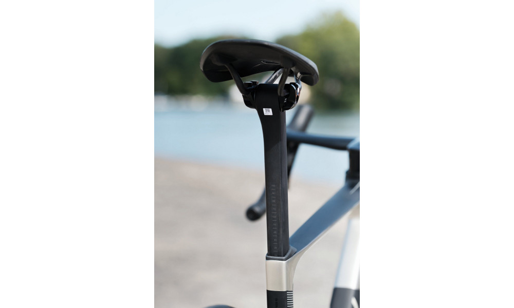 Bicycle Raymon Arva Ultimate 2026 carbon-champagne - 3