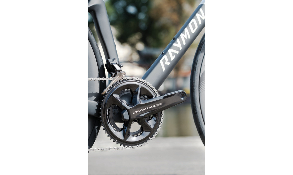 Bicycle Raymon Arva Ultimate 2026 carbon-champagne - 5