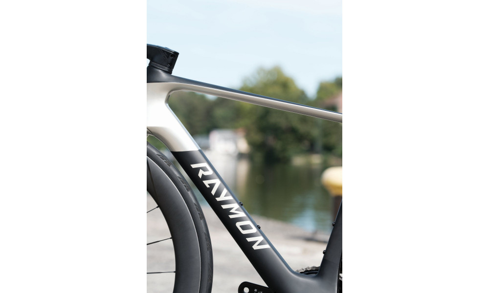 Bicycle Raymon Arva Ultimate 2026 carbon-champagne - 10