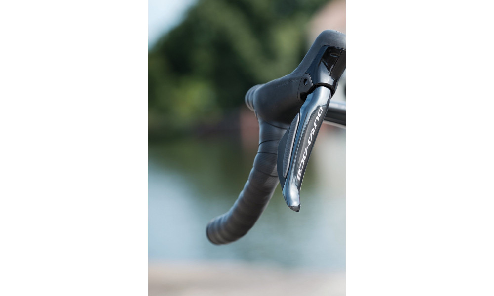 Bicycle Raymon Arva Ultimate 2026 carbon-champagne - 14