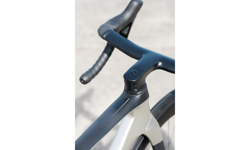 Bicycle Raymon Arva Ultimate 2026 carbon-champagne - 15