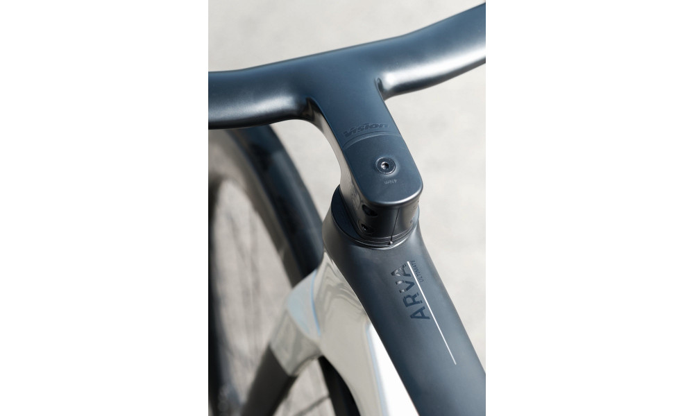 Bicycle Raymon Arva Ultimate 2026 carbon-champagne - 16