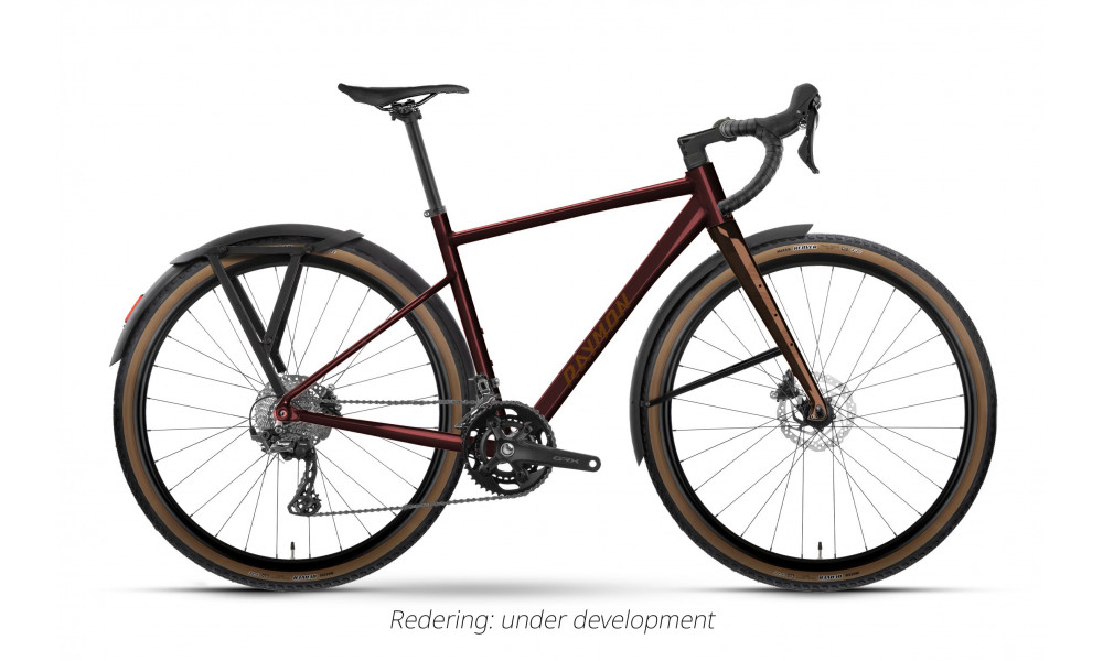 Bicycle Raymon Territ Pro Street 2026 maroonbrown-brick 