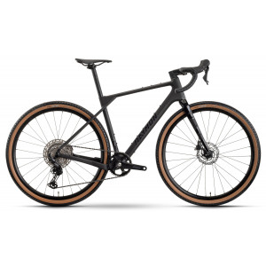 Bicycle Raymon Soreno Pure 2026 carbon stealth