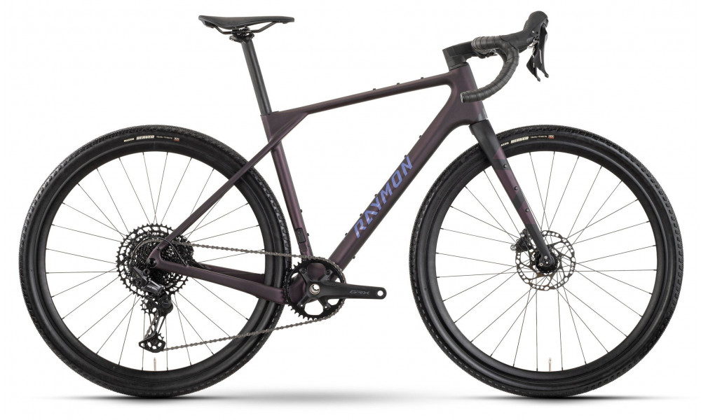 Bicycle Raymon Soreno Pure 2026 floridplum - 1