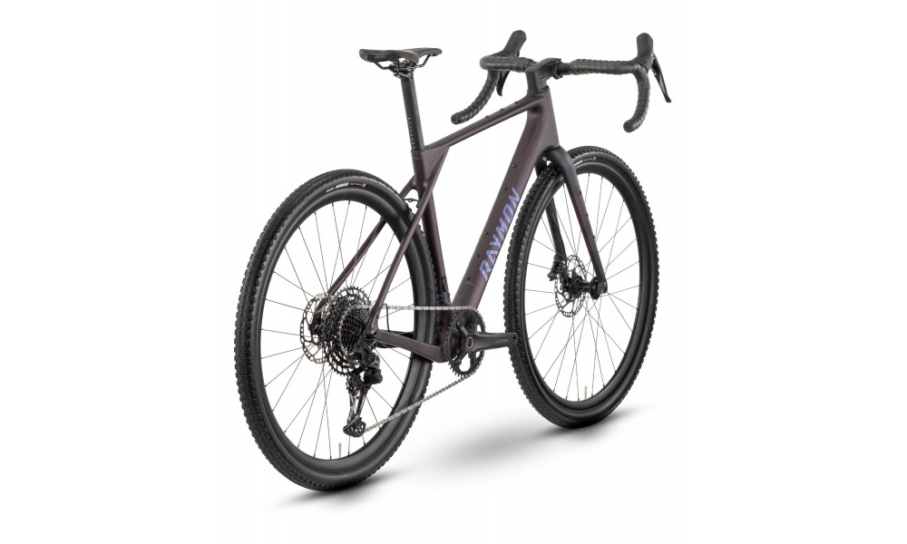 Bicycle Raymon Soreno Pure 2026 floridplum - 2